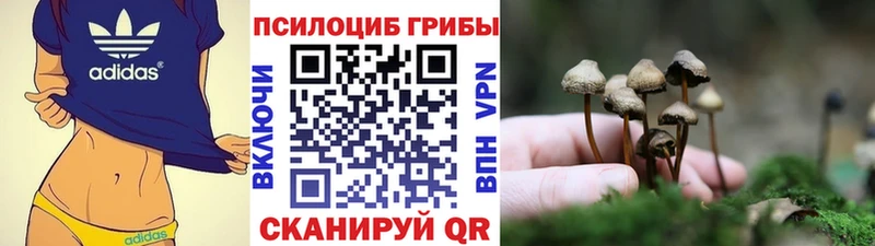 Галлюциногенные грибы GOLDEN TEACHER  Купить  Мураши 